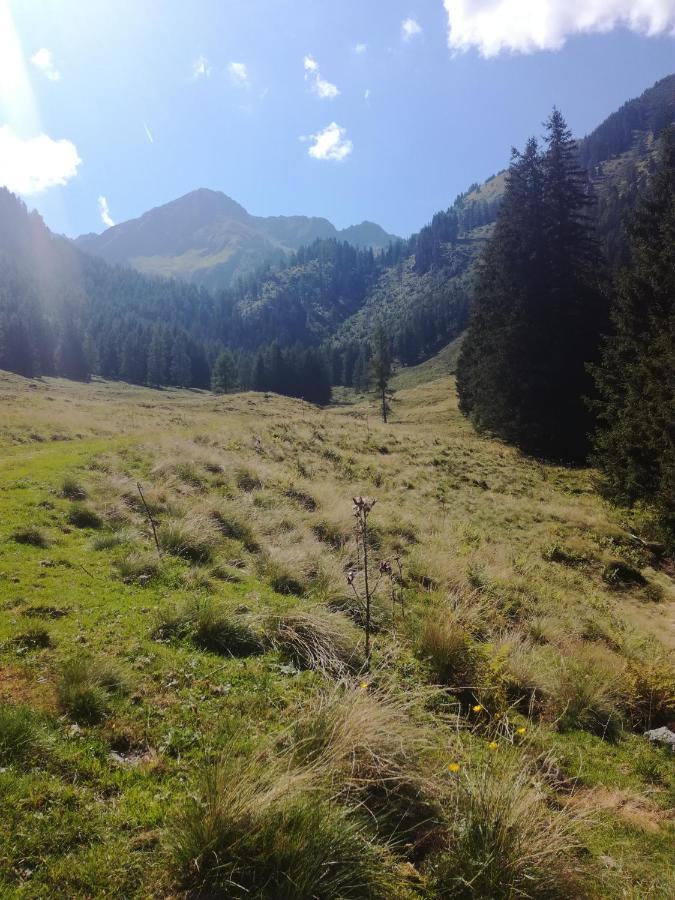 Appartement Almzeit Mit Infrarotkabine Grosssolk Bagian luar foto